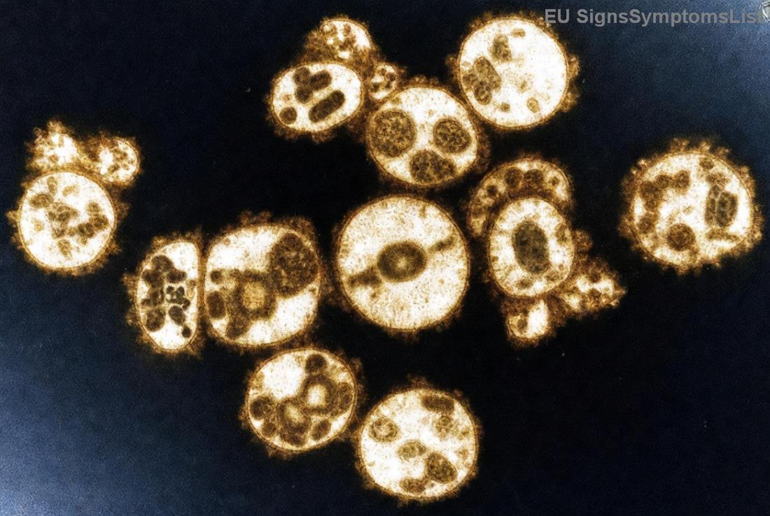 Tipy na stravu podporující regeneraci kůže po odstranění rakoviny