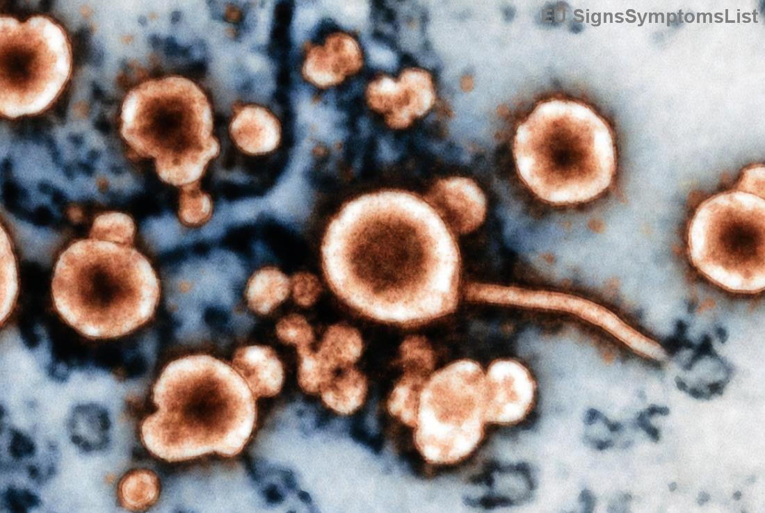 Receta me <strong>ushqime anti-inflamatore</strong> për pacientë me <strong>melanoma</strong>: Smoothie boronica dhe kurkuma