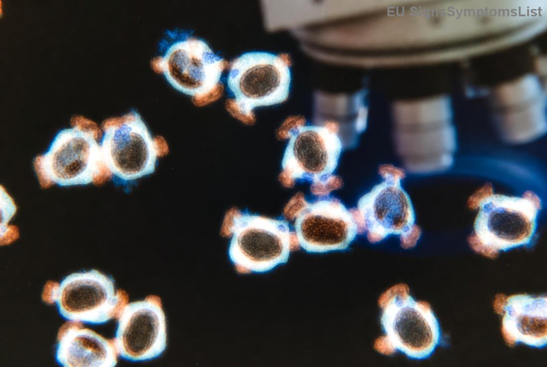 Úspěšné případy léčby nádorů mozku