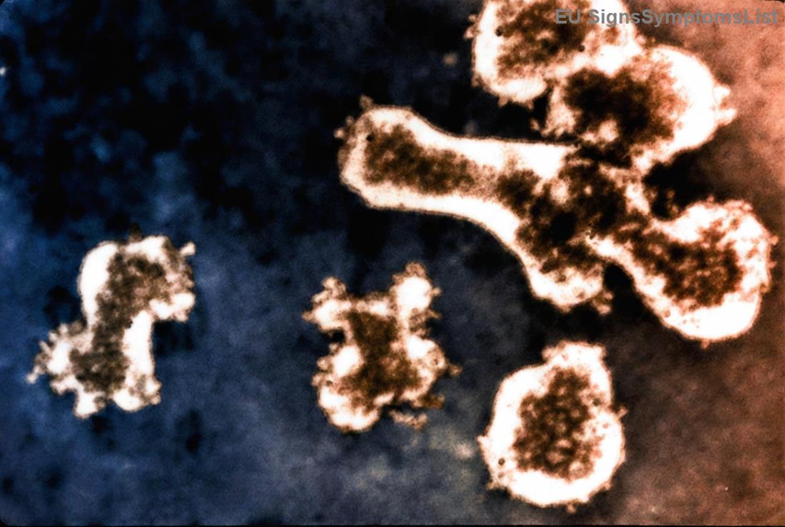 Parandalimi i karcinomës qelizore bazale me mbrojtje nga dielli