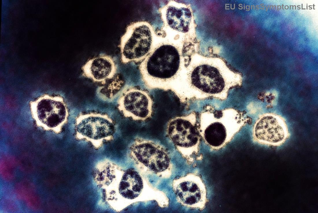 Színes tányér hasnyálmirigyrák diéta ételekkel: zöldségek, fehérje, egészséges zsírok