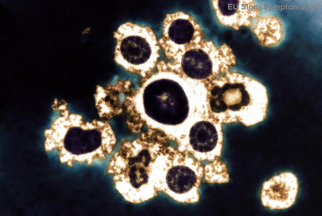 Ilustrační obrázek zdravé stravy při léčbě rakoviny