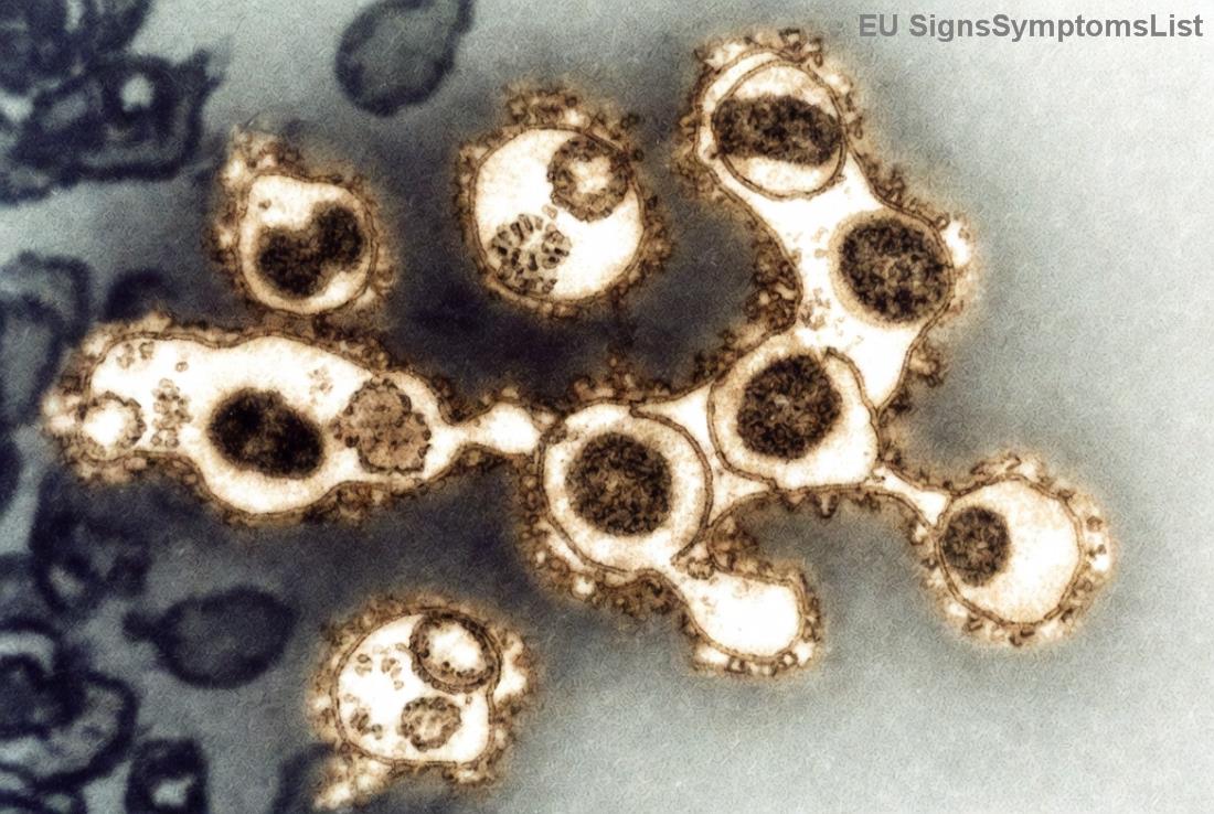 Ilustrační obrázek stravy a léčby rakoviny tlustého střeva pro lepší uzdravení