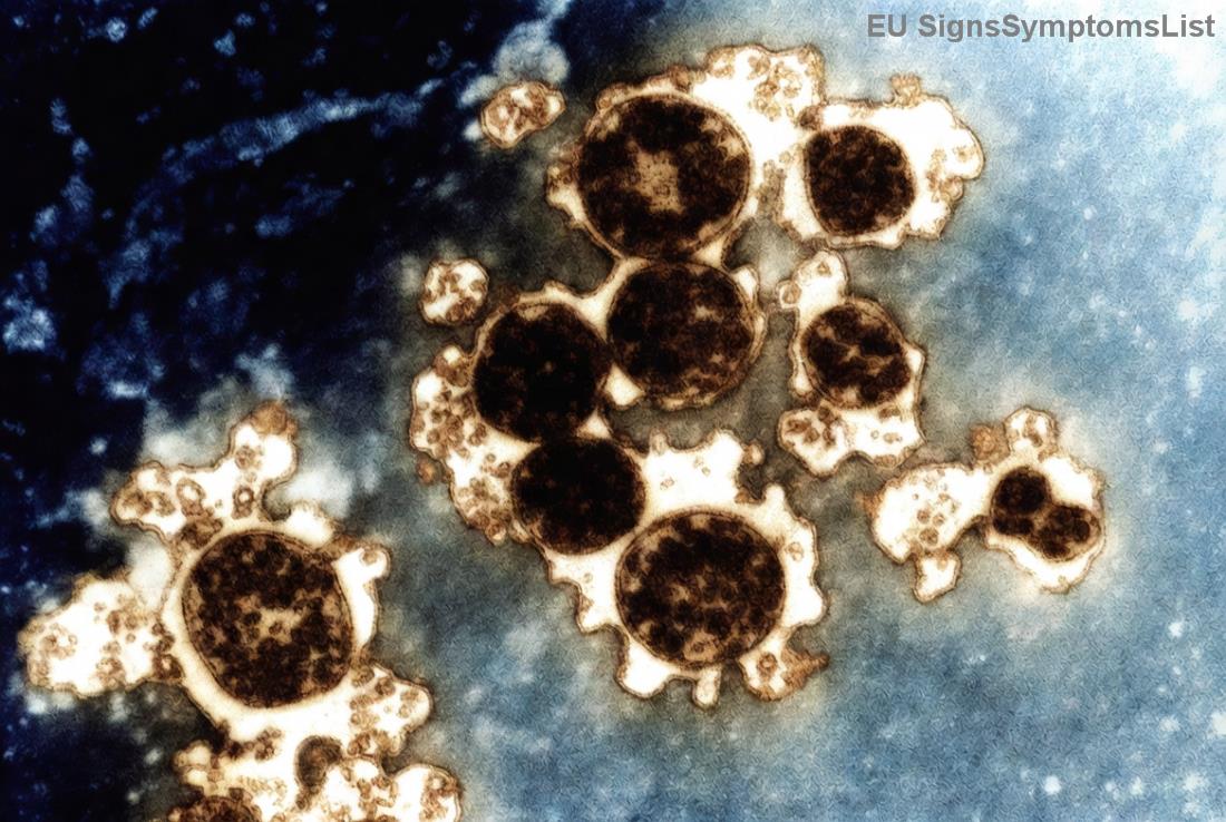 Σύγχρονες χειρουργικές τεχνικές για τοπικό καρκίνο νεφρού