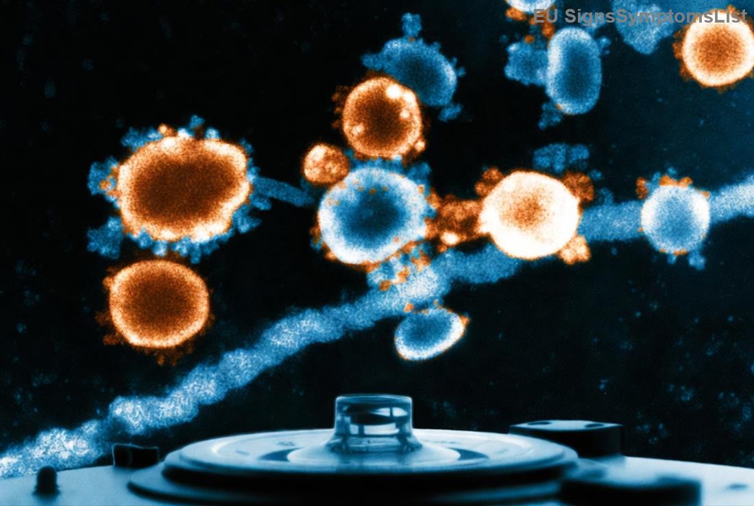 Zdravá výživa při rakovině dělohu – ovoce, zelenina a zdravé tuky