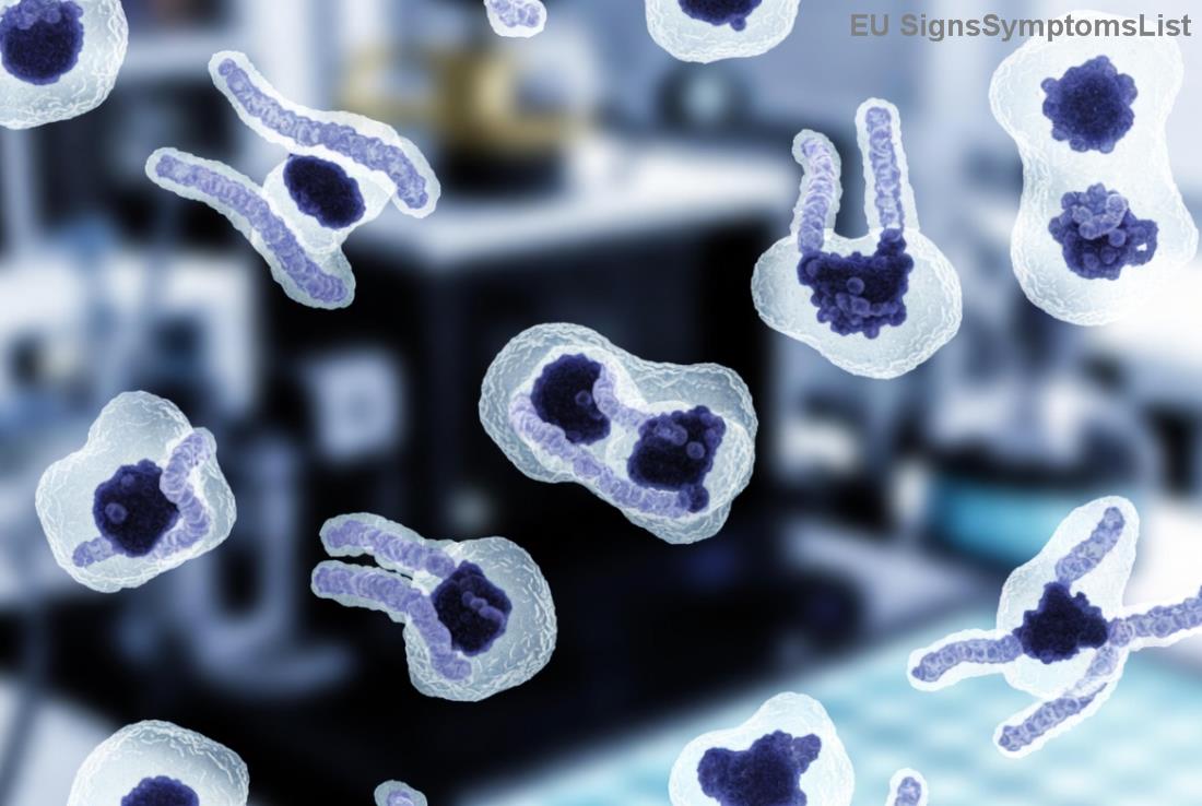 Tabela hrane za rak jetre - primer zdravog obroka sa ribom i povrćem