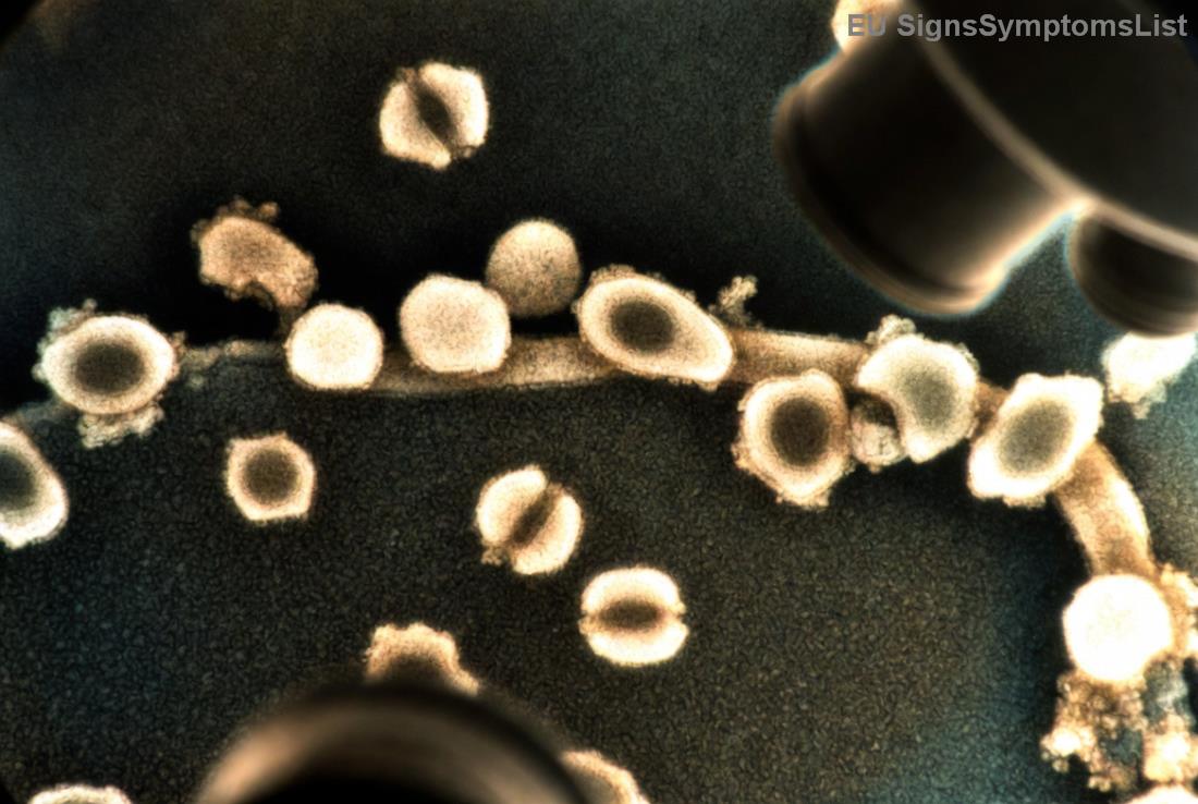 Plán stravování pro lepší péči při rakovině slinivky