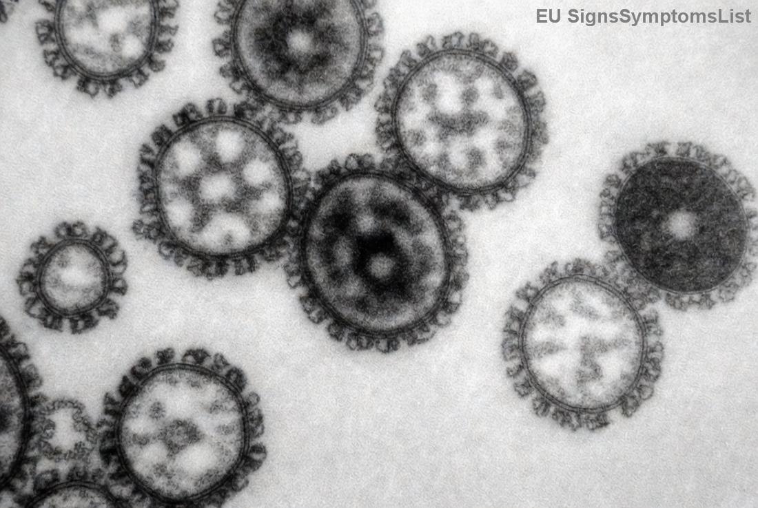 Zdravá strava plná superpotravin proti rakovině žaludku