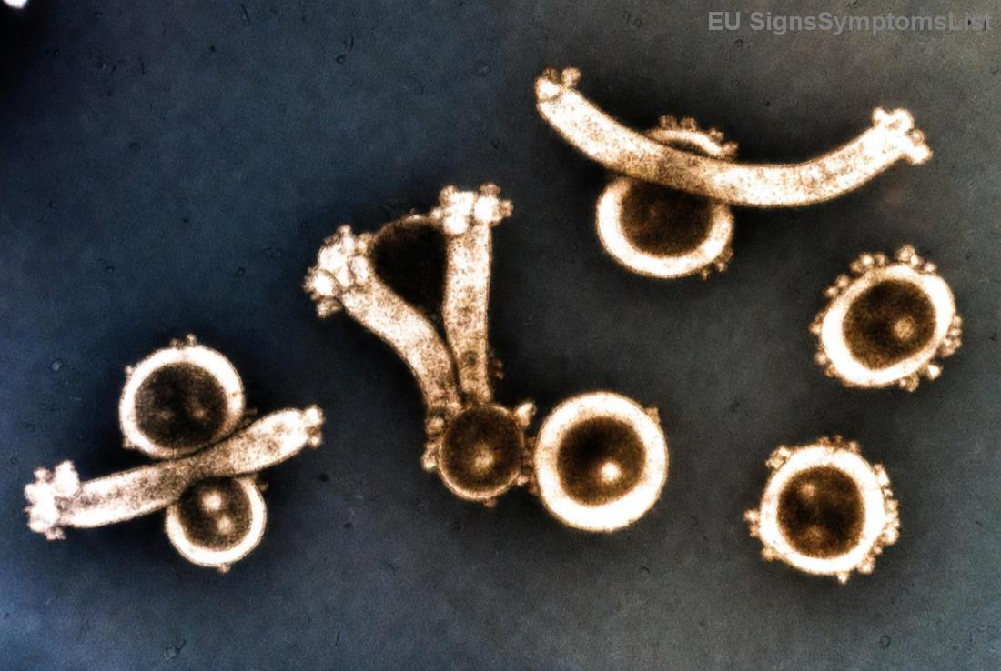 Tabulka měkkých potravin pro diétu při rakovině jícnu