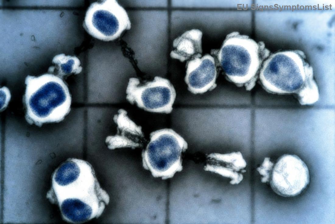 Zdravé jídlo a chráněná pleť pod sluncem díky vitaminové diétě