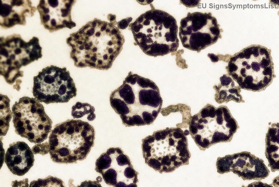 Ilustrace léčby rakoviny a stravy pro uzdravení