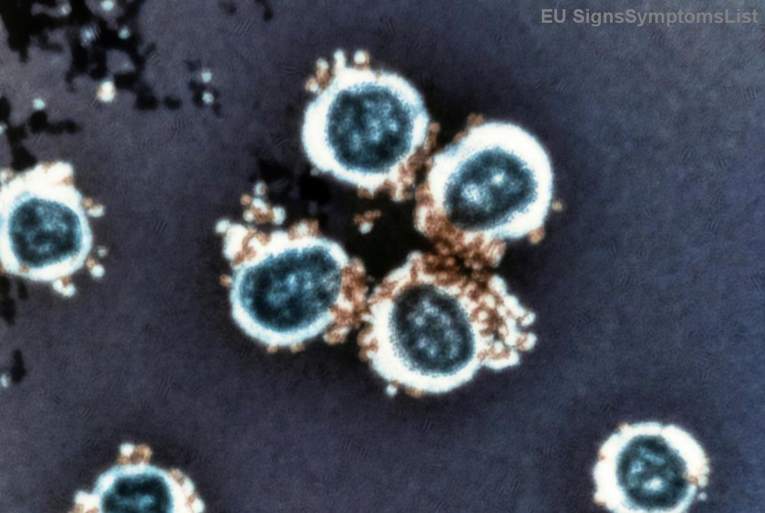 Raznovrsna <strong>ishrana</strong> za oporavak raka želuca