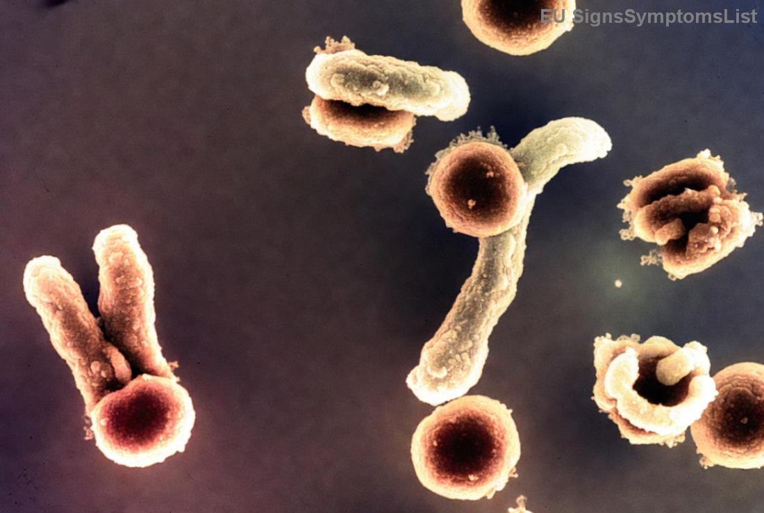 Zdravá strava po Hodgkinově lymfomu: Ovoce a zelenina proti recidivě