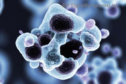 Διατροφή Φιλική προς τα Νεφρά για Ασθενείς με Καρκίνο: Τι να Τρώτε &amp; Τι να Περιορίσετε για Βέλτιστη Υγεία!