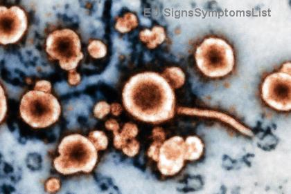 Spojení střeva a mozku: Tajná zbraň proti depresi při léčbě rakoviny tlustého střeva