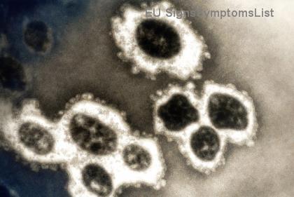 Ο Τοπικός Καρκίνος του Προστάτη Είναι Θεραπεύσιμος; Σύγχρονες Λύσεις & Επιτυχίες 95%+