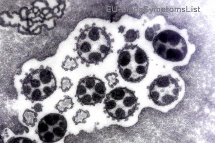 5 Čudesnih Namirnica za Rak Prostate: Pojačajte Zdravlje i Ubrzajte Oporavak! ⭐