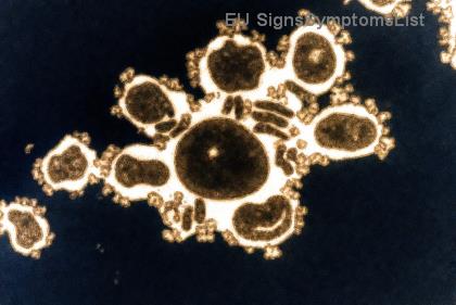 Péče po operaci rakoviny kůže: Tipy na rychlé hojení a klíčové sluneční návyky pro bezpečné zotavení