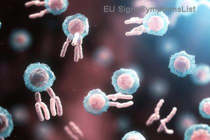 Prosztatarák Diagnózis Után: Hogyan Támogasd Szerelmedet? ☝️ Gyakorlati Tanácsok Erős Párkapcsolódhoz