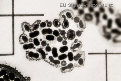 Животът След Лечение на Рак на Шийката на Матката: Секрети за Дългосрочна Благосъстояние и Пълно Възстановяване