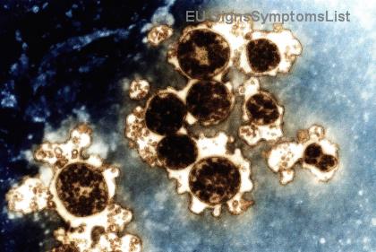 Průvodce pečovatele: Tajné tipy pro perfektní zvládání střevního zdraví u pacientů s kolorektální rakovinou