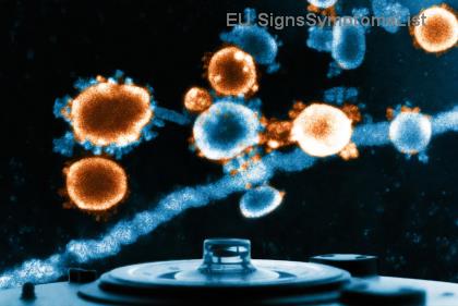 Τα Κορυφαία Αντι-Καρκινικά Τρόφιμα για Γρήγορη Ανάρρωση από Καρκίνο Στομάχου! 🌟