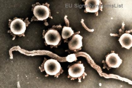 Μικρά Γεύματα, Τεράστια Ενέργεια: Οι Αποκλειστικές Στρατηγικές Διατροφής για Ασθενείς Καρκίνου Πανκρέατος!