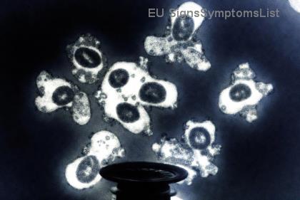 Dieta Miqësore me Veshkat për Pacientët me Kancer: Ushqimet që Shërojnë dhe Kufizimet që Rrezikojnë Shëndetin Tuar