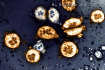 Καρκίνος Μαστού Στάδιο 3: Θεραπεύσιμος 100%; Νέες Ελπίδες & Επιτυχημένες Θεραπείες!