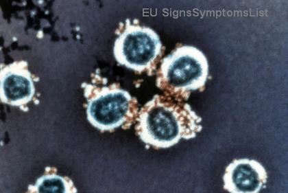 Jak Podporovat Partnera po Diagnóze Rakoviny Prostaty: Klíčové Kroky pro Emocionální a Praktickou Pomoc